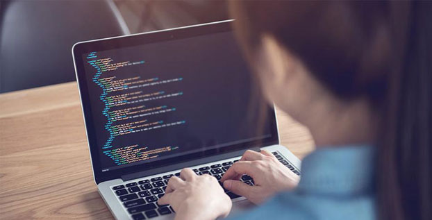 Mengenal Tugas Web Developer dan Tanggung Jawabnya