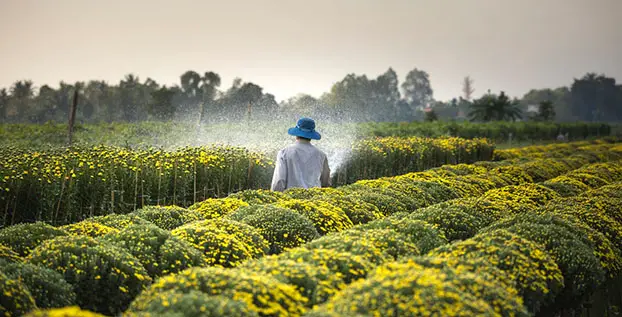 5 Lowongan Kerja Agribisnis Yang Perlu Kamu Ketahui